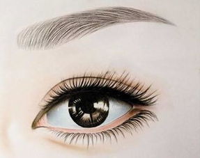 上海微整形培訓學校 上海針劑注射培訓 伊美國際微整學校 教學環境